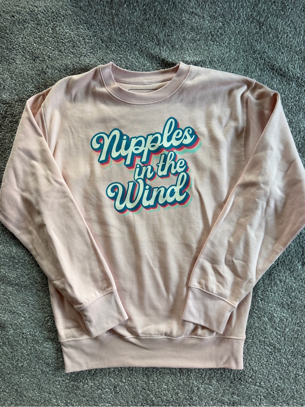 Women’s Pink Graphic Sweatshirt - Nipples in the Wind